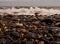 Waves Splashing on a Pebbled Shore