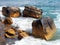 Waves Swirling Around Sandstone Rocks, Manly, Australia