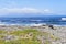 Waves in Table Bay bring seaweed to the shore of Robben Island