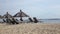 Waves of the warm sea run on the sandy beach of the tropical resort with umbrellas and chaise lounges