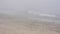 Waves wash onto a fog-covered beach on Cape Cod