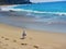 Waves washing ashore, aliso beach, dana point, california