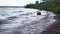 Waves are washing logs on the shore of the reservoir.