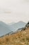 Wavey ridge lines of varying mountain ranges are contrasted by the one in front creating depth and texture in Olympic National