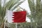 Waving Bahrain flag