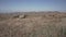 Waving dry grass on the hills of Eswatini.