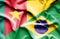Waving flag of Brazil and Cameroon