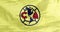 A waving flag of the Club America or simply America a professional football club.