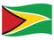 Waving Flag of Guyana