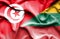Waving flag of Lithuania and Tunisia