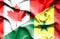 Waving flag of Senegal and Canada