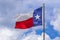 Waving Flag of Texas against cloudy sky