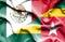 Waving flag of Togo and Mexico