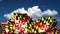 Waving Maryland State Flags