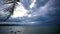 Waving palm branch on a background of cloudy sky