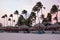 Waving palmtrees on the beach at sunset