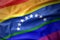 Waving venezuela rainbow gay pride flag banner