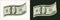 Wavy bent american 100 dollar banknote with front side. Falling, flying banknote. Cash money