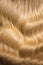 Wavy blond hair, hollywood wave, female hair texture