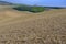 Wavy fairytale landscape with a trees in a center of field. Spring landscape. Moravian Tuscany, south Moravia, Czech