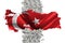 Wavy Flag of Turkey Map and Dollar Banknotes Flying