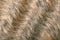 Wavy Fur Macro