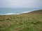 Wavy grass on Atlantic coast in Cornwall