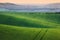 Wavy green fields. Striped rolling sunny hills at sunset