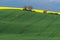 Wavy hills during spring time in South Moravia, Czech Republic