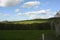 Wavy Landscape with Trees and Meadows, Bohemian Forest, Czech Republic, Europe