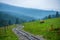 wavy log railway tracks in wet green forest with fresh meadows