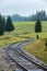 wavy log railway tracks in wet green forest with fresh meadows