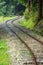 wavy log railway tracks in wet green forest with fresh meadows