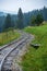 wavy log railway tracks in wet green forest with fresh meadows