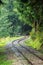 wavy log railway tracks in wet green forest with fresh meadows