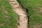 Wavy old partially broken cracked concrete steps surrounded with uncut green grass mixed with dry grass on side of river bank