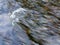 Wavy rippling turbulent water surface of rapids in stream, swelled creek after rain, hydro energy, water torrent