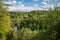 wavy river in forest in green summer