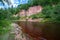 wavy river in forest in green summer