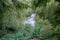 wavy river in forest in green summer