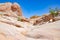 Wavy rock formation at the Valley of Fire