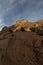 wavy rock formation in wide angle shot of zion national park mountains