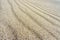 Wavy sand surface, sandy smooth sea shore, sand ripples