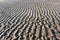 Wavy sand tide lines on beach, background, texture