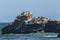 Wavy sea and the black Red-legged cormorant birds on the rocky hill