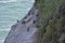 Wavy sea and the black Red-legged cormorant birds on the rocky hill