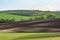 Wavy vineyard fields in the evening on South Moravia