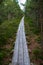 wavy wooden foothpath in swamp forest tourist trail