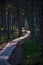 wavy wooden foothpath in swamp forest tourist trail