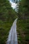 wavy wooden foothpath in swamp forest tourist trail